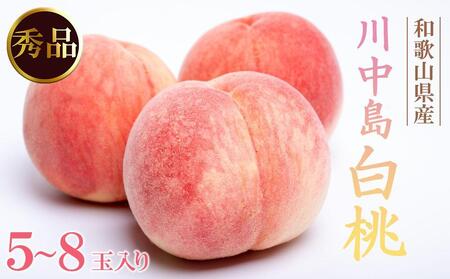 和歌山県産 川中島白桃 5〜8玉入り 秀品 先行予約[2025年7月下旬以降発送][MG7]