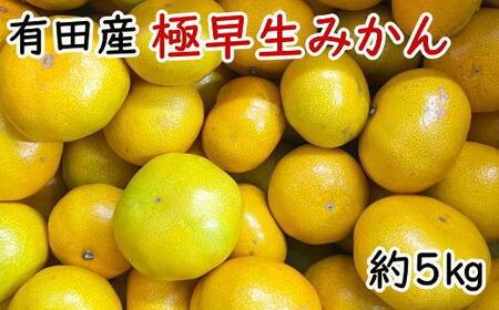 有田産極早生みかん約5kg(サイズ混合)★2025年10月中旬頃より順次発送[TM200]