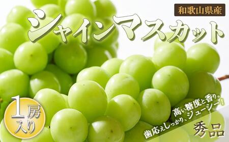シャインマスカット 1房(600g以上)[2025年8月中旬以降出荷][MG24]
