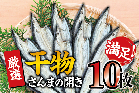 干物セット 満足の内容量!さんまの開き10枚セット / ひもの 詰め合わせ 干物 さんま サンマ[sio116]