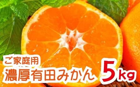 [先行予約 2024年12月発送]農園直送!完熟有田みかん[サイズ混合]5kg ※北海道・沖縄・離島への配送不可[ard002B-2]