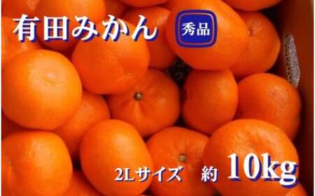 紀州有田みかん 秀品 約10kg 2Lサイズ ※2024年11月下旬頃より順次発送予定[sml129]