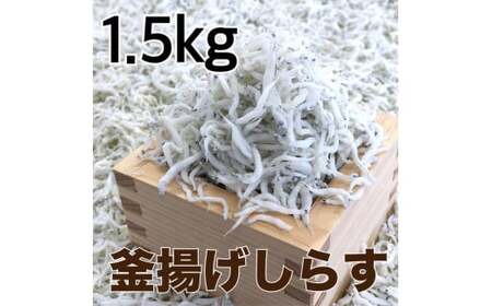 g炷1.5kg(500g×3pbN) / VX I  ①ցydig013z