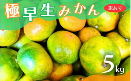 [2024年秋頃発送予約分][訳あり]こだわりの極早生みかん 約5kg ※2024年10月上旬より順次発送予定(お届け日指定不可) 有機質肥料100% サイズ混合 有田産[nuk165]