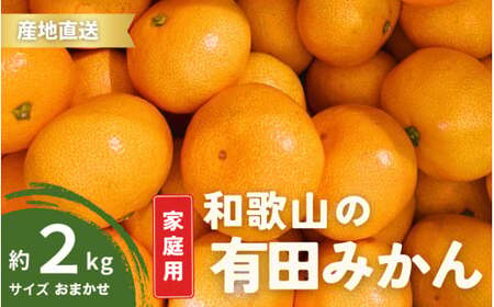 [10月発送] ご家庭用 有田みかん 和歌山 S〜Lサイズ 大きさお任せ 2kg / みかん フルーツ 果物 くだもの 有田みかん 蜜柑 柑橘[ktn005-10]