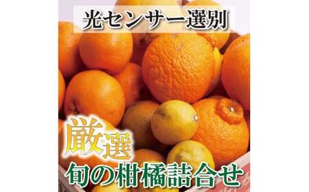 家庭用 柑橘詰合せ2kg+60g(傷み補償分)[訳あり・わけあり][有田の春みかん詰め合わせ・フルーツ詰め合せ・オレンジつめあわせ][光センサー選別][ikd184]