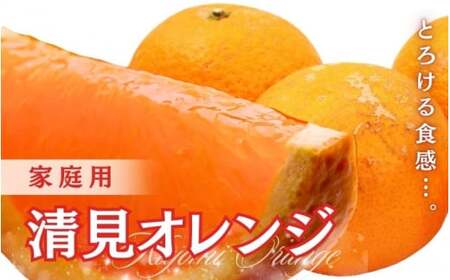 [2月より発送]家庭用 清見オレンジ3.5kg+105g(傷み保証分)[光センサー食頃出荷][樹上完熟きよみオレンジ・清見タンゴール・清美][わけあり・訳あり]※北海道・沖縄・離島への配送不可[ikd199]