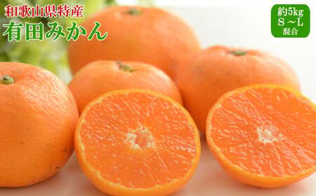 [秀品]和歌山有田みかん約5kg(S〜Lサイズ混合)※2025年11月中旬〜2026年1月中旬頃に順次発送[tecj1025]