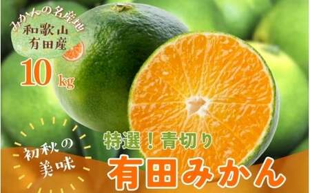 【先行予約】【初秋の美味】【農家直送】特選　青切り有田みかん　約10kg+200g(傷み補償分)【2026年9月中旬～10月上旬頃に順次発送予定】【ard233A】