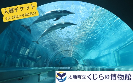 太地町立くじら博物館 入館チケット大人2名+子供1名/チケット 入館券 博物館 くじら 鯨[kzr003]