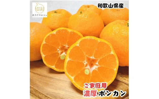 [先行予約]極甘 柑橘有田育ちの 濃厚 ポンカン(家庭用)約1kg+200g(傷み補償分) ※2027年1月上旬〜3月上旬に順次発送 ※着日指定不可[ard245]