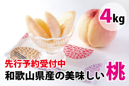 【先行予約受付】和歌山県産の美味しい桃 約4kg （10〜15玉入り）【2022年6月中旬頃から順次発送予定】 和歌山 もも モモ 桃 ギフト 贈り物 プレゼント 夏ギフト 果物 フルーツ 人気 産地直送