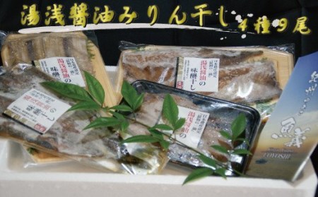 和歌山の近海でとれた新鮮魚の湯浅醤油みりん干し4品種9尾入りの詰め合わせ[tec200A]