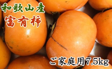 和歌山産富有柿ご家庭用約7.5kg※2022年10月下旬より順次発送 【tec407】