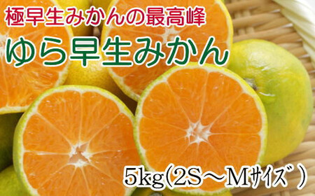 yɑ݂̈izLcY瑁݂ 5kg 2025N10{`11{ɏytec801Az