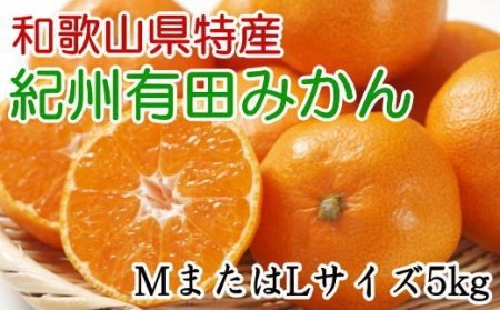 [秀品]和歌山有田みかん 5kg(MサイズまたはLサイズのいずれか) ※2025年11月中旬〜2026年1月中旬頃順次発送予定(お届け日指定不可)[tec834A]