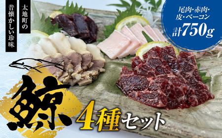 鯨肉セット (尾肉100g×1・赤肉150g×3・皮100g×1・ベーコン100g×1)/刺身 クジラ くじら クジラ肉 くじら肉[tgk102]