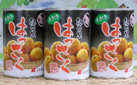 和歌山産手剥き八朔缶詰450g×8缶入り 【tec912A】