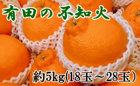 yZzLc̕smΖ5kgi18ʁ`28ʂ܂j 2026N2{`2026N4{ɏ\itwsjytec860Az