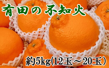 yZzLc̕smΖ5kgi12ʁ`20ʂ܂j 2026N2{`2026N4{ɏ\itwsjytec861Az