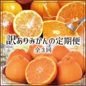 [3か月定期便]たっぷり届く♪訳ありみかんの定期便 温州みかん・不知火・清見オレンジ[tkb113]