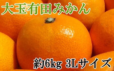 [秀品]和歌山有田みかん 6kg(3Lサイズ) ※2026年11月中旬〜2027年1月中旬頃順次発送予定(お届け日指定不可)[tec836A]