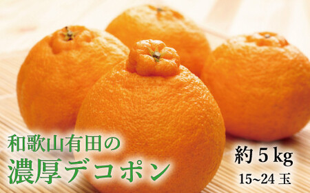 [大人気]和歌山有田の濃厚デコポン 15〜24玉(約5kg) ※2025年1月中旬〜3月下旬順次発送[ard005B]