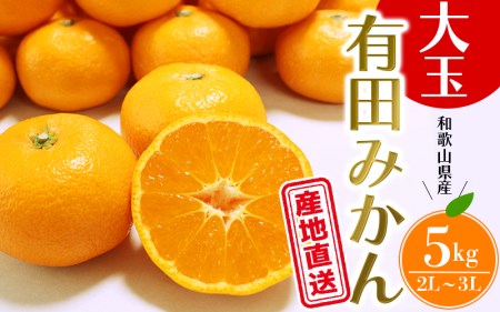 みかん 5kg 有田みかん みかんの名産地 和歌山県産/ 農家直送 大玉 (2L〜3L) ひとつひとつ手選別で厳選[2024年11月下旬〜1月中旬ごろに順次発送予定]先行予約[hdm001-1A]