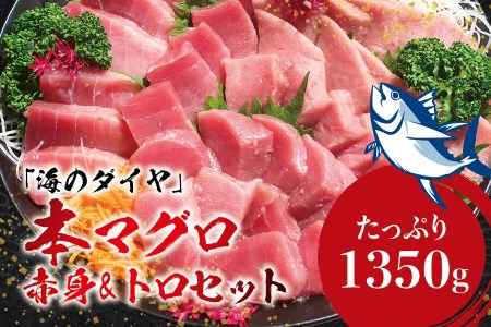 本マグロ（養殖）トロ＆赤身セット 1350g 【12月発送】高級 クロマグロ  中トロ 中とろ まぐろ マグロ 鮪 刺身 赤身 柵 じゃばらまぐろ 本マグロ 本鮪【nks111B-12】