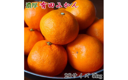 [秀品] 和歌山 有田みかん 5kg(2Sサイズ)※北海道・沖縄・離島への配送不可 ※2025年11月中旬〜2026年1月中旬頃に順次発送予定(お届け日指定不可)[tec886A]