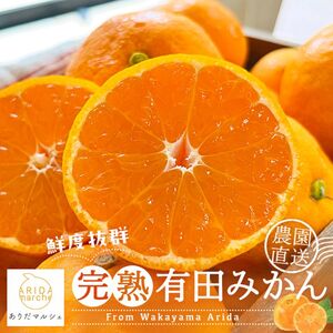 [11月上旬〜][先行予約 2025年11月上旬〜11月下旬発送]農園直送!完熟有田みかん[サイズ混合]約3kg+200g ※北海道・沖縄・離島への配送不可[ard002C-11]