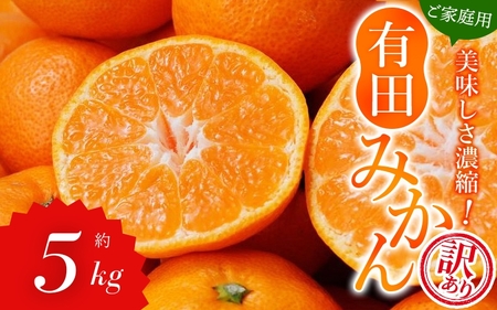 [訳あり]農家直送 有田みかん 約5kg ご家庭用 サイズ混合 ※2025年11月中旬より順次発送予定(お届け日指定不可)※北海道・沖縄・離島への配送不可 訳ありみかん みかん ミカン 蜜柑 柑橘 フルーツ 果物 くだもの 温州みかんサイズ混合 温州みかん 有機質肥料100% ふるさと納税 柑橘 有田 産地直送[nuk161B]