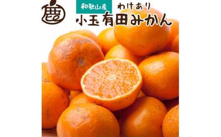 [11月より発送]家庭用 小玉な有田みかん2.5kg+75g(傷み補償分)[わけあり・訳あり][光センサー選果]※北海道・沖縄・離島への配送不可[ikd153A]