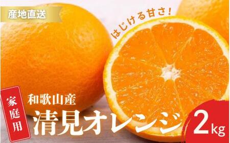 [先行予約]ご家庭用 きよみ 清美オレンジ 和歌山 有田 S〜2Lサイズ 大きさお任せ 2kg[2月中旬〜3月下旬頃に順次発送]/ みかん フルーツ 果物 くだもの 蜜柑 柑橘[ktn042]