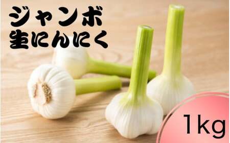 令和8年度産 秘境の地からお届けする あゆみファームのご家庭用新ジャンボ生にんにく 1kg[6月中旬〜7月上旬から順次発送]/ にんにく ニンニク ジャンボにんにく 予約受付 ガーリック 和歌山[aym018]