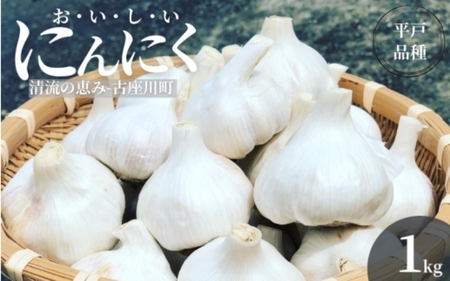 にんにく 乾燥にんにく 1kg 古座川の自然の恵みが育む [gnz103A]