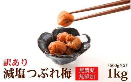 梅干し 無農薬 無添加の 訳あり 減塩 つぶれ梅 1kg(500×2)塩分3%[baiko002A]