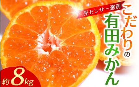 みかん 完熟有田みかん 約8kg+150g(傷み補償分) [ご家庭用][10月発送][nuk100-10]