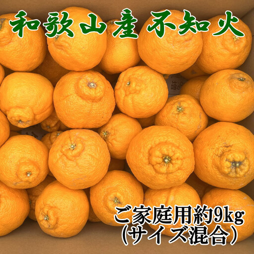 「農園直送」和歌山県産不知火 もりもりの約9kg(サイズ混合 ご家庭用) ※2027年2月下旬〜3月下旬頃順次発送予定[tecj1055]