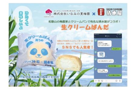 生クリームぱんだ (青うめ) 10個 もっちりふわふわのパンで包んだ絶品パン[inm910]