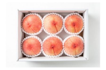【先行予約受付】和歌山県産の美味しい桃 約2kg （6〜9玉入り）【2021年6月中旬頃から順次発送予定】【mat101】 和歌山 もも モモ 桃 ギフト 贈り物 プレゼント 夏ギフト 果物 フルーツ 人気 産