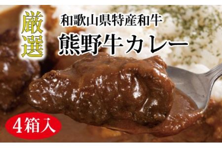 特選黒毛和牛 熊野牛カレー 4箱[mtf102]