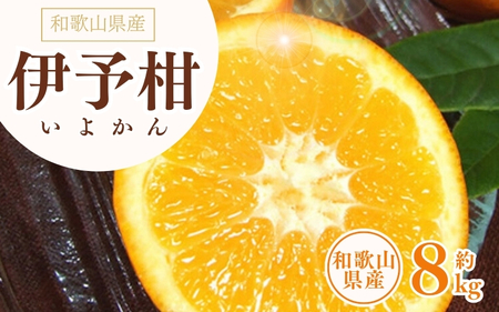 伊予柑(いよかん) 約8kg/サイズおまかせ ※2025年1月中旬〜2025年2月中旬頃に順次発送予定(お届け日指定不可) 紀伊国屋文左衛門本舗 [kztb440A]