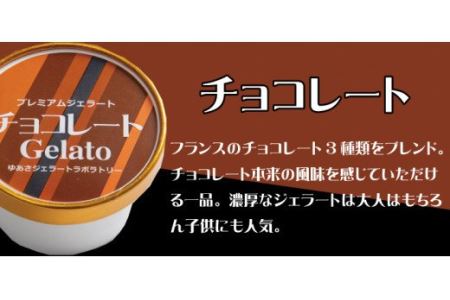 プレミアムジェラート チョコレート12個セット アイスクリームセット 100mlカップ ゆあさジェラートラボラトリー【kztb700-03】