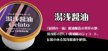 プレミアムジェラート 湯浅醤油12個セット アイスクリームセット 100mlカップ ゆあさジェラートラボラトリー[kztb700-05]