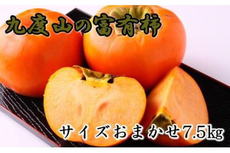 [柿の名産地]九度山の富有柿約7.5kgサイズおまかせ※2024年11月上旬〜2024年12月上旬頃に順次発送[tec403A]