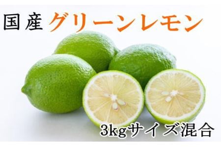 【産直】和歌山産グリーンレモン約3kg（サイズ混合）※2022年10月下旬より順次発送【tec506】