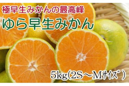 [極早生みかんの逸品]有田産ゆら早生みかん 約5kg※2024年10月中旬〜11月中旬頃より順次発送[tec801]