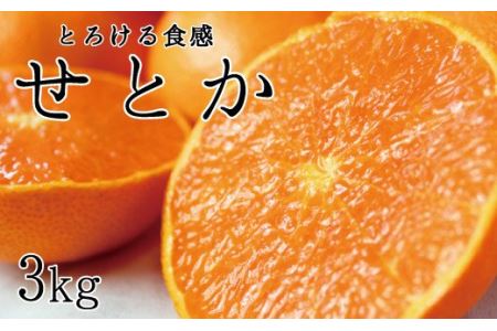 とろける食感!ジューシー柑橘 せとか 約3kg サイズお任せ [予約]※2025年2月末頃〜3月中旬頃発送(お届け日指定不可)[uot506]