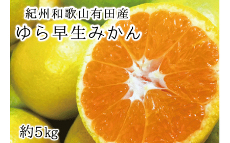 IBa̎RLcY瑁݂ 5kg s\ 2025N10{`2025N10ɏi͂wsjyuot721z